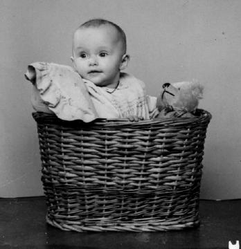 1949 Winnie ikke større end en kurv