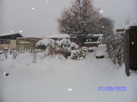 2010-11-27 Sne 01