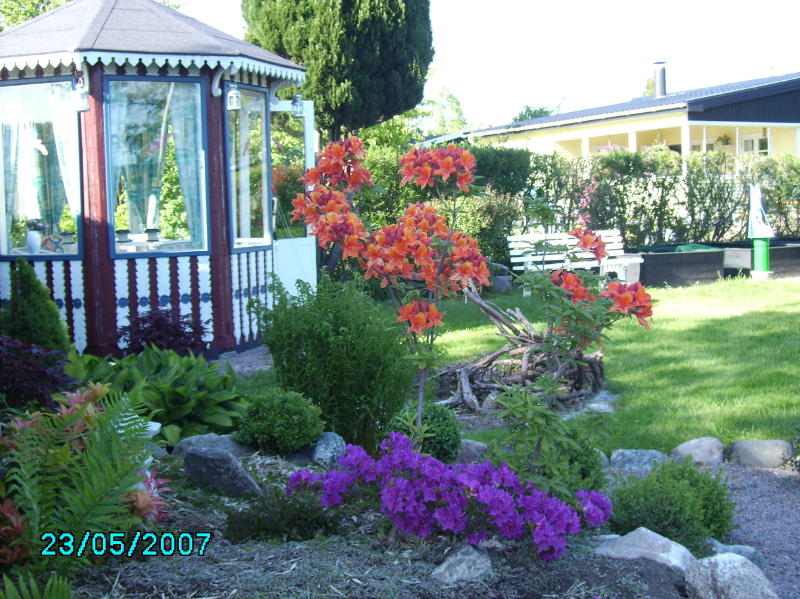 2007-05-23 Thehus og Azalea