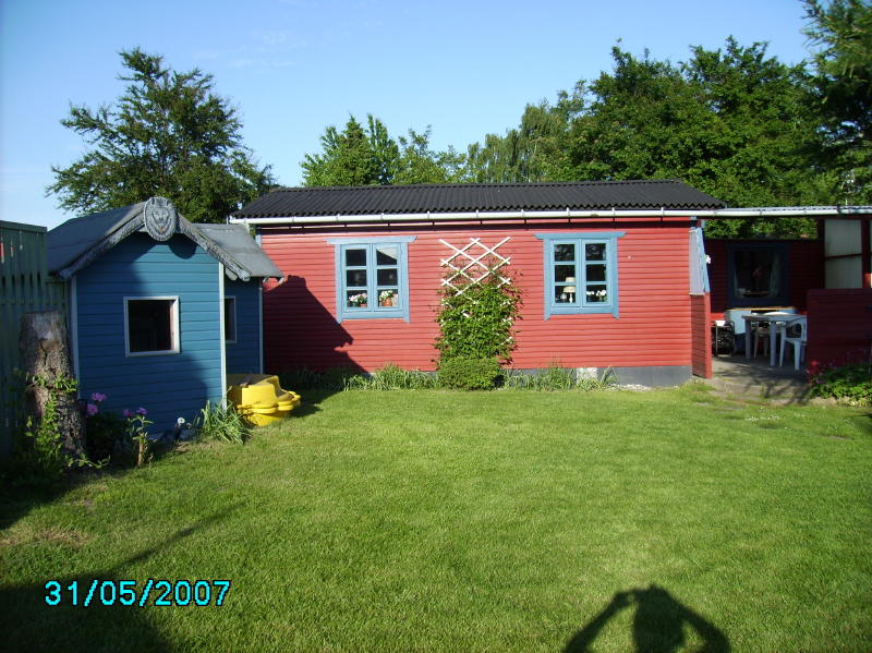 2007-05-31 Clematis 2