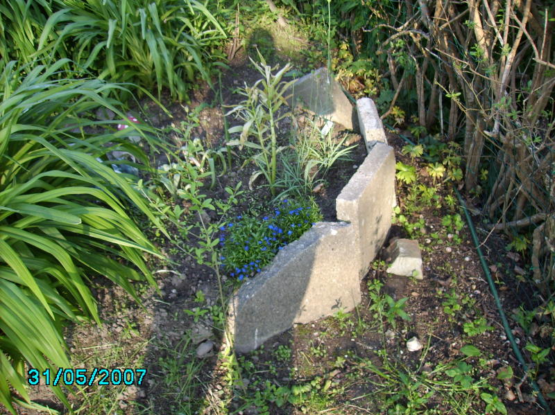 2007-05-31 Terrassens blomster 2