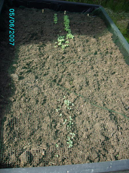 2007-06-05 Kasse nr 2 - 2